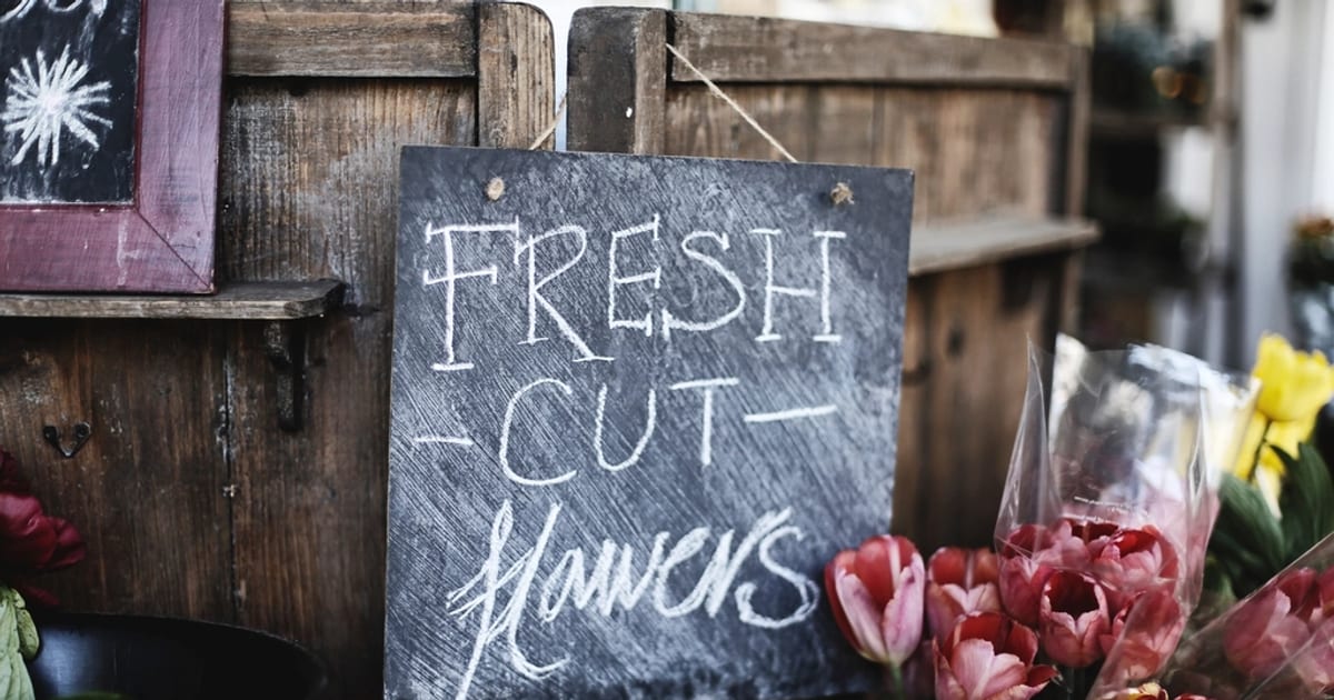 Why Word of Mouth Stops Being Enough for Brazilian Business Owners in the UK
