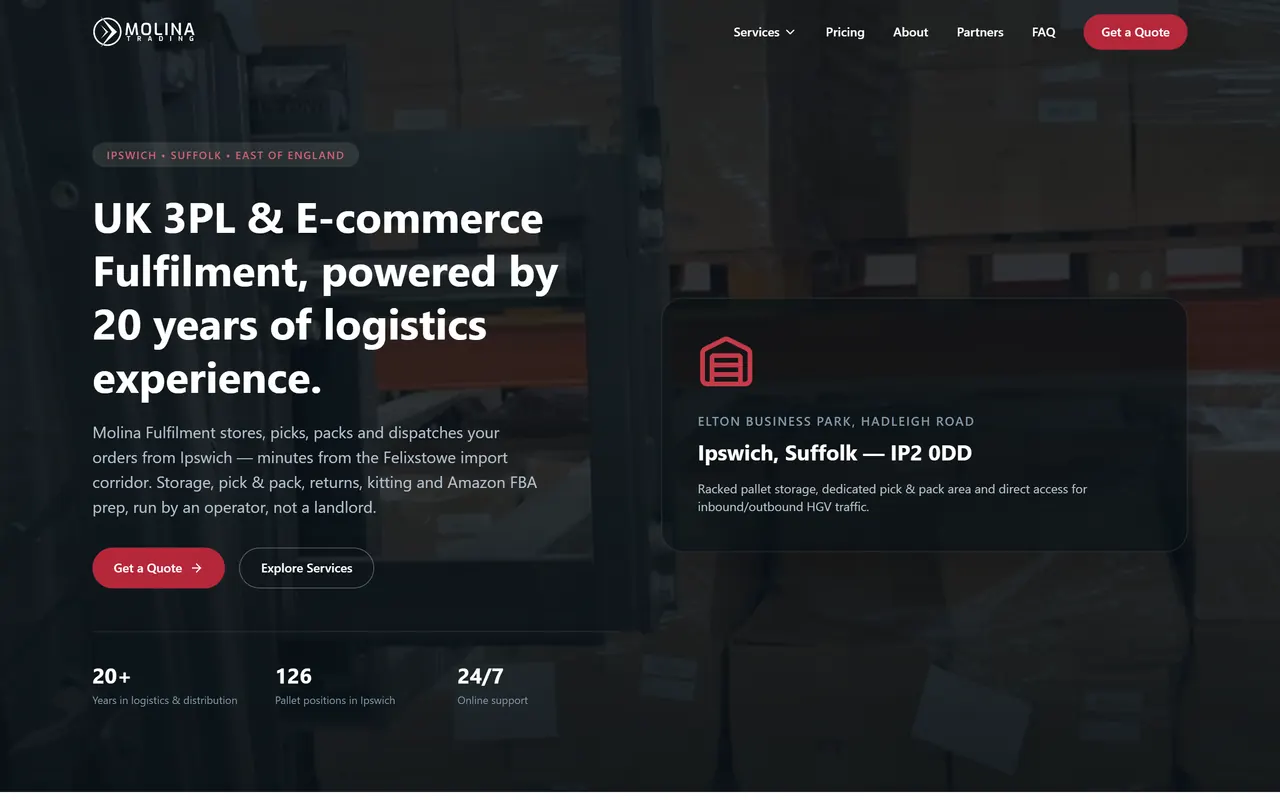 Molina Trading — the site on a computer